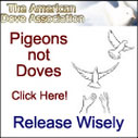 release pigeons not doves