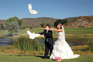 wedding doves